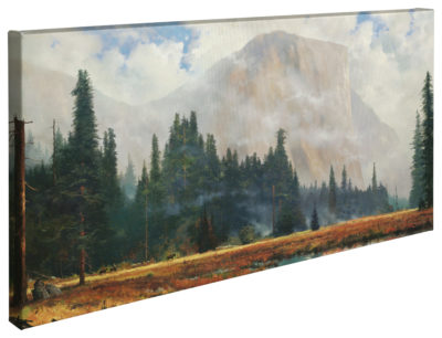 Yosemite Meadow - 16" x 31" Gallery Wrapped Canvas