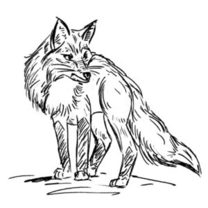 Fall Fox Creek EE Sketch